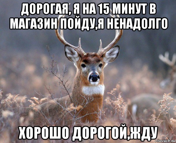 дорогая, я на 15 минут в магазин пойду,я ненадолго хорошо дорогой,жду, Мем   Наивный олень