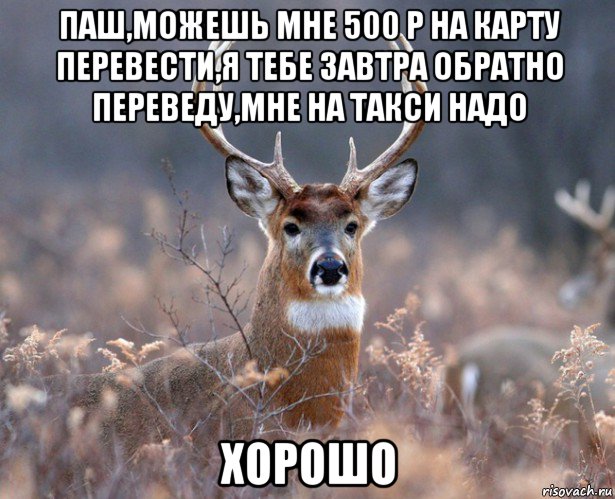 паш,можешь мне 500 р на карту перевести,я тебе завтра обратно переведу,мне на такси надо хорошо