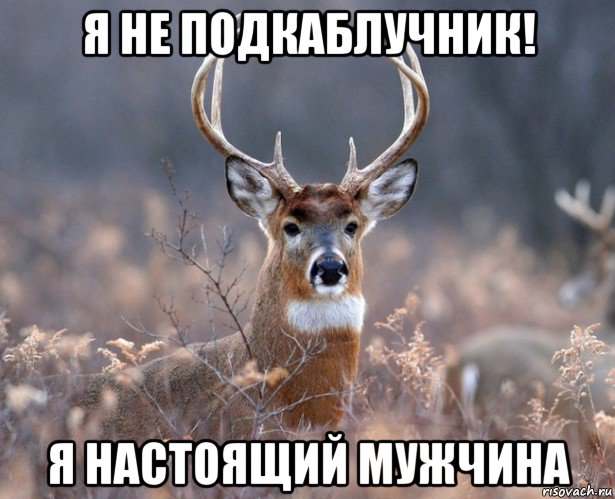 я не подкаблучник! я настоящий мужчина