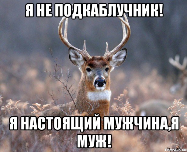 я не подкаблучник! я настоящий мужчина,я муж!