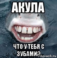 Пон акула мем. Мемы про акул. Пон Мем акула с зубами.