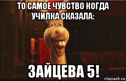 то самое чувство когда училка сказала: зайцева 5!, Мем Осел из Шрека