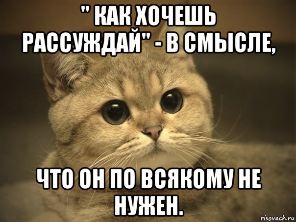 " как хочешь рассуждай" - в смысле, что он по всякому не нужен., Мем Пидрила ебаная котик