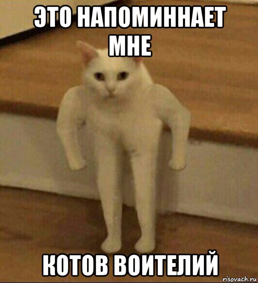 это напоминнает мне котов воителий, Мем  Полукот