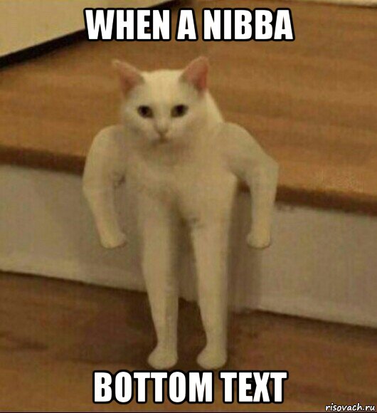 when a nibba bottom text, Мем  Полукот