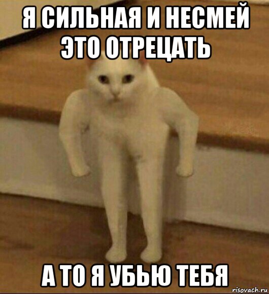 я сильная и несмей это отрецать а то я убью тебя, Мем  Полукот