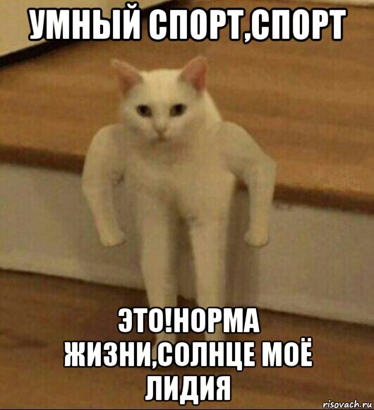 умный спорт,спорт это!норма жизни,солнце моë лидия, Мем  Полукот