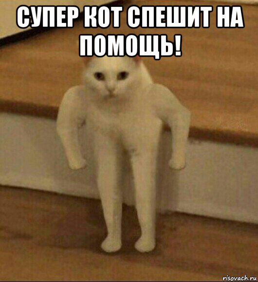 супер кот спешит на помощь! , Мем  Полукот