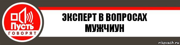 Эксперт в спорах. Эксперт в спорах шаблон.