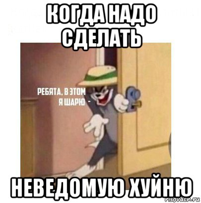 когда надо сделать неведомую хуйню, Мем Ребята я в этом шарю