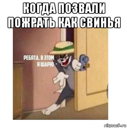 когда позвали пожрать как свинья , Мем Ребята я в этом шарю