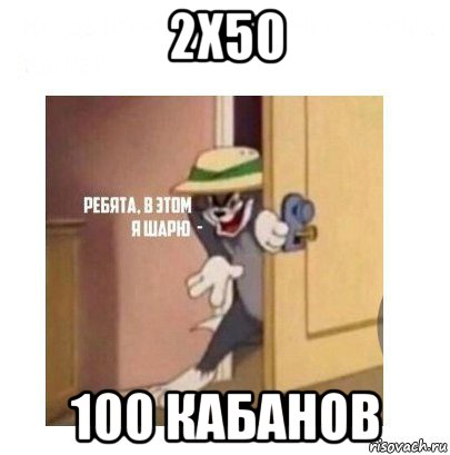 2x50 100 кабанов, Мем Ребята я в этом шарю