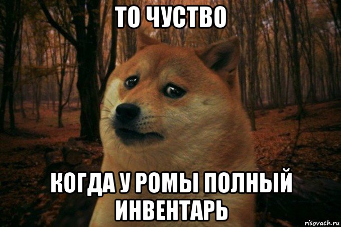 то чуство когда у ромы полный инвентарь, Мем SAD DOGE