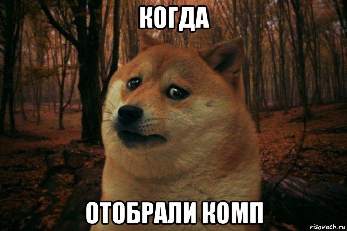 когда отобрали комп, Мем SAD DOGE