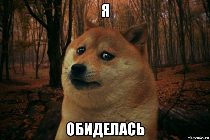 я обиделась, Мем SAD DOGE