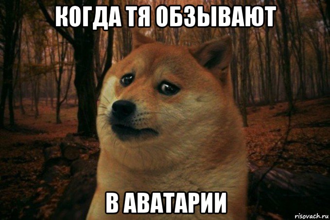 когда тя обзывают в аватарии, Мем SAD DOGE