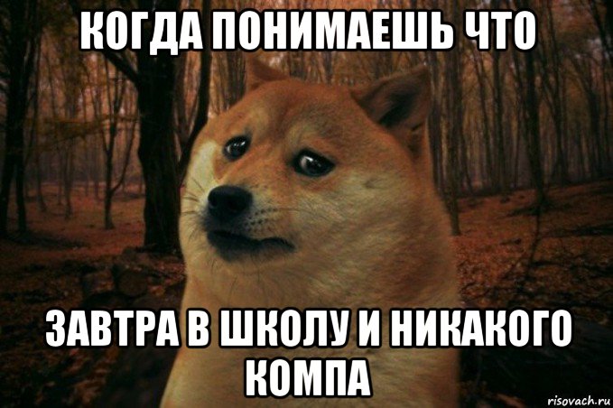 когда понимаешь что завтра в школу и никакого компа, Мем SAD DOGE