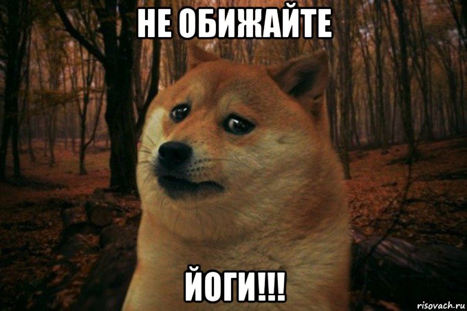 не обижайте йоги!!!, Мем SAD DOGE