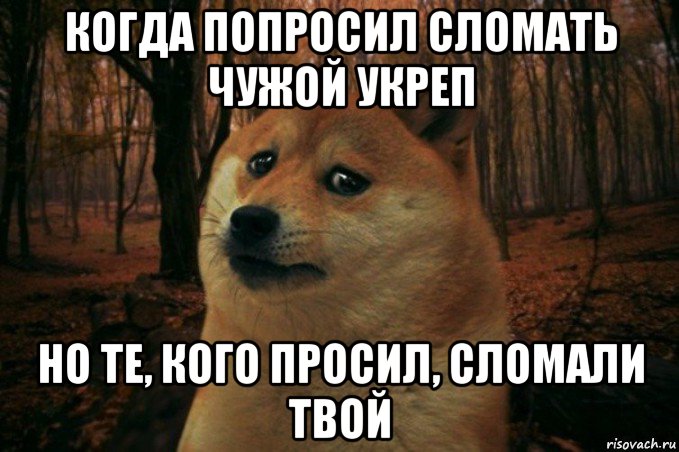 когда попросил сломать чужой укреп но те, кого просил, сломали твой, Мем SAD DOGE