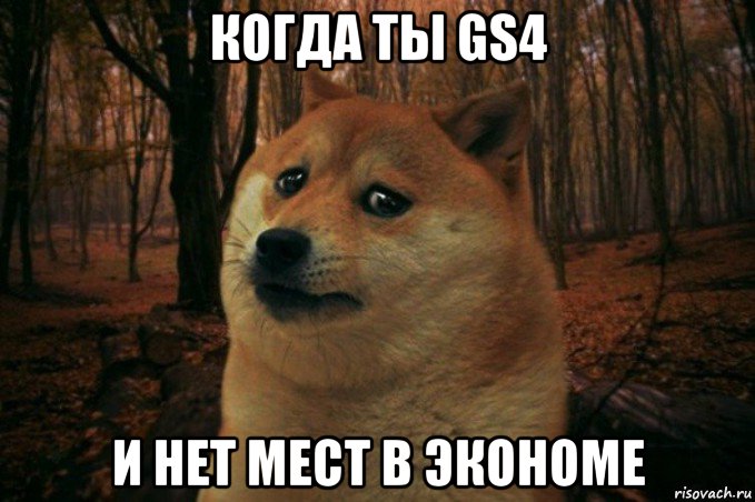 когда ты gs4 и нет мест в экономе, Мем SAD DOGE