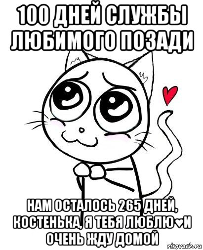 265 дней