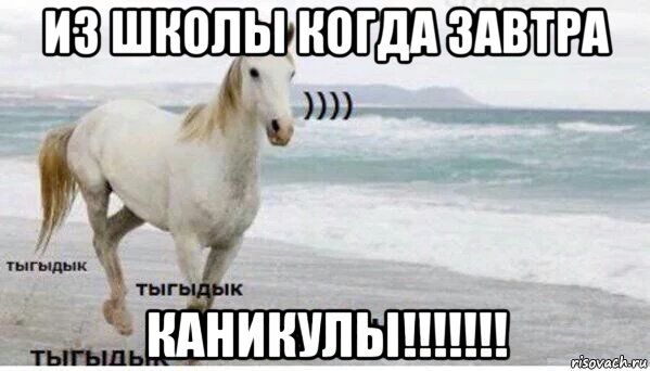 из школы когда завтра каникулы!!!!!!!, Мем   Тыгыдык