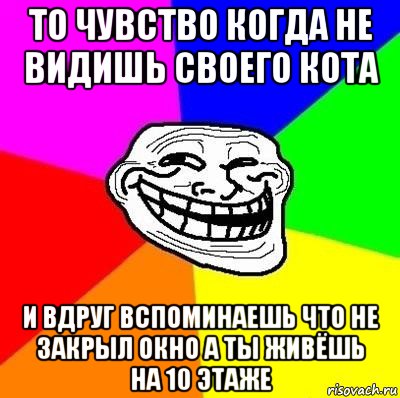 то чувство когда не видишь своего кота и вдруг вспоминаешь что не закрыл окно а ты живёшь на 10 этаже