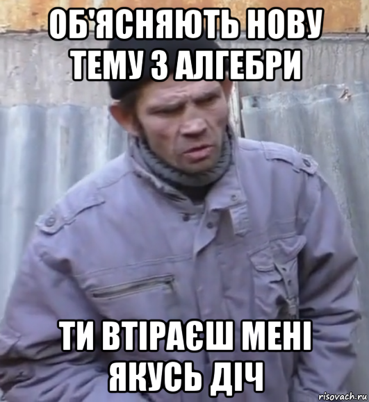 об'ясняють нову тему з алгебри ти втіраєш мені якусь діч, Мем  Ты втираешь мне какую то дичь