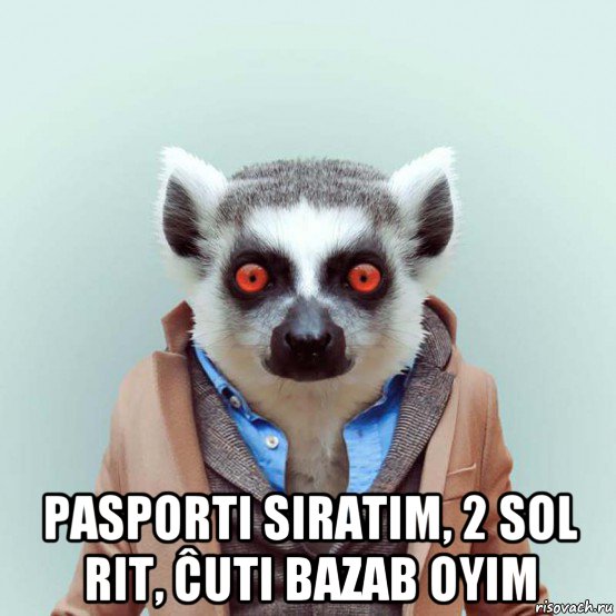  pasporti siratim, 2 sol rit, ĉuti bazab oyim, Мем укуренный лемур