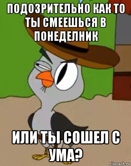 подозрительно как то ты смеешься в понеделник или ты сошел с ума?, Мем    Упоротая сова