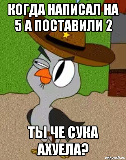 когда написал на 5 а поставили 2 ты че сука ахуела?, Мем    Упоротая сова