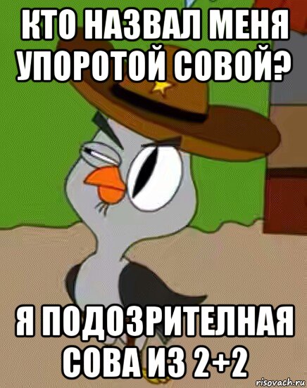 кто назвал меня упоротой совой? я подозрителная сова из 2+2, Мем    Упоротая сова