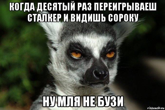 когда десятый раз переигрываеш сталкер и видишь сороку ну мля не бузи, Мем   Я збагоен