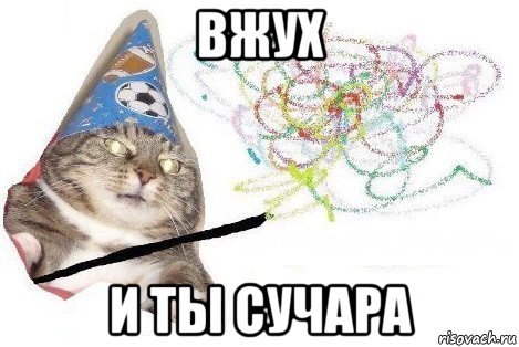 вжух и ты сучара, Мем Вжух