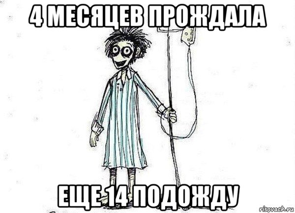 4 месяцев прождала еще 14 подожду, Мем  зато я сдал