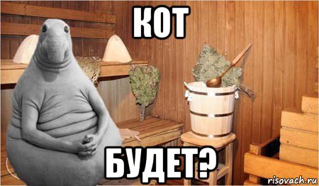 кот будет?