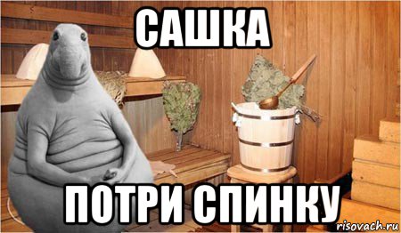 сашка потри спинку, Мем  Ждун в бане