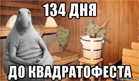 134 дня до квадратофеста