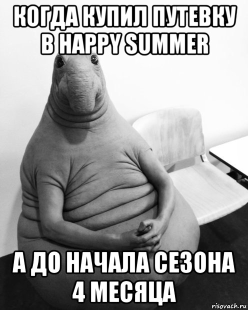 когда купил путевку в happy summer а до начала сезона 4 месяца, Мем  Ждун