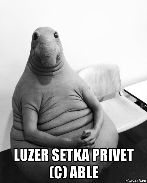  luzer setka privet (с) able, Мем  Ждун