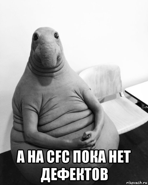  а на cfc пока нет дефектов, Мем  Ждун