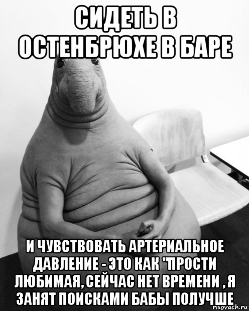 сидеть в остенбрюхе в баре и чувствовать артериальное давление - это как "прости любимая, сейчас нет времени , я занят поисками бабы получше, Мем  Ждун