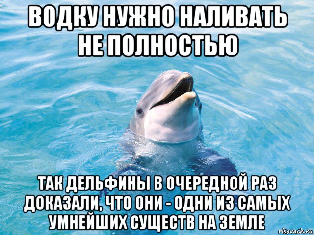 водку нужно наливать не полностью так дельфины в очередной раз доказали, что они - одни из самых умнейших существ на земле