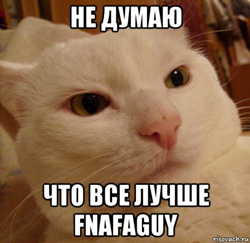 не думаю что все лучше fnafaguy, Мем Дерзкий котэ