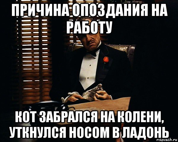 Пришло с опозданием. Опоздал на работу. Причины опоздания. Причина опоздать на работу. Причина опозданиятнатраьоту.