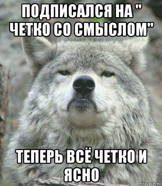 подписался на " четко со смыслом" теперь всё четко и ясно, Мем    Гордый волк