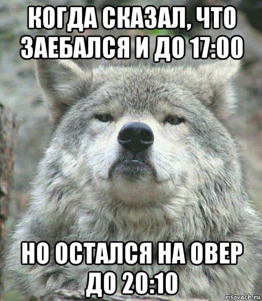 когда сказал, что заебался и до 17:00 но остался на овер до 20:10, Мем    Гордый волк