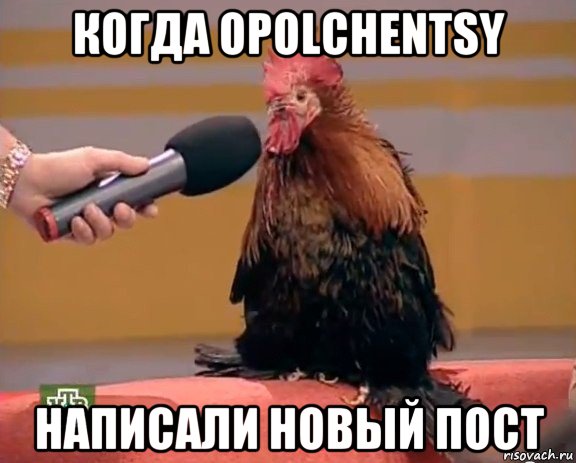 когда opolchentsy написали новый пост, Мем Интервью с петухом