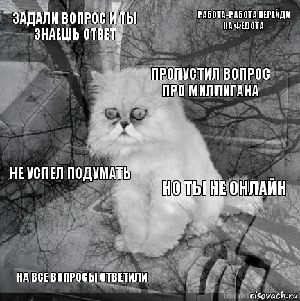 Задали вопрос и ты знаешь ответ Но ты не онлайн Пропустил вопрос про Миллигана На все вопросы ответили Не успел подумать Работа-работа перейди на Федота    , Комикс  кот безысходность