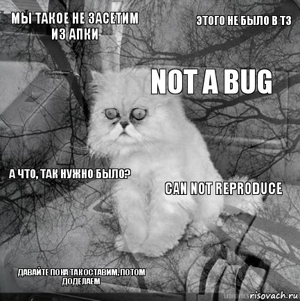 мы такое не засетим из апки can not reproduce not a bug давайте пока так оставим, потом доделаем а что, так нужно было? этого не было в ТЗ    , Комикс  кот безысходность